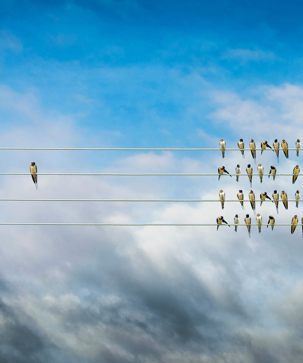  | Contacta un ejecutivo Si requieres asistencia durante tu proceso, nuestro equipo de atenci&oacute;n estar&aacute; disponible para orientarte de manera personalizada&hellip;