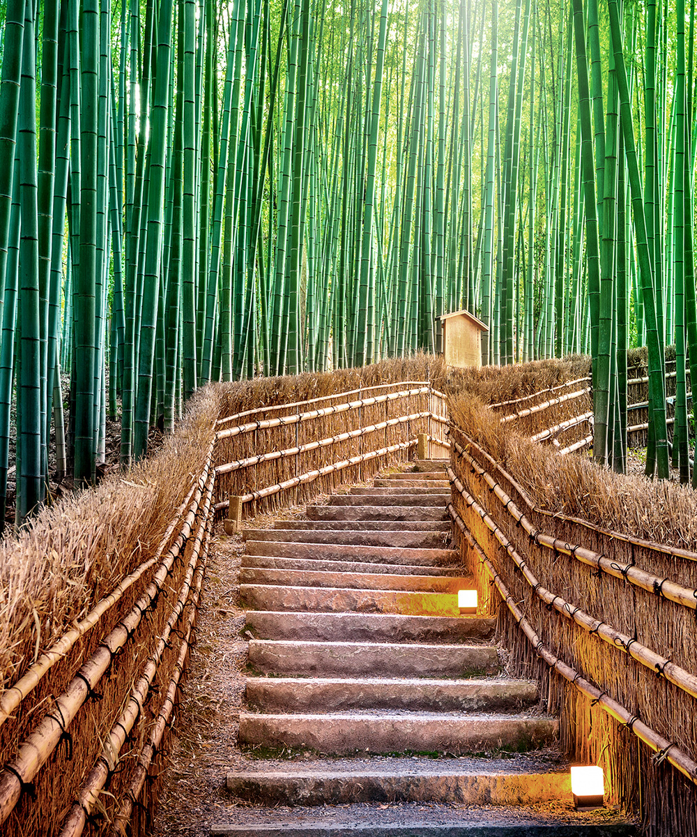 InFilter Clubes | &iquest;Qu&eacute; es InFilter Clubes? Una herramienta de evaluaci&oacute;n orientada a instituciones, clubes y asociaciones que buscan garantizar la seguridad, integridad&hellip;